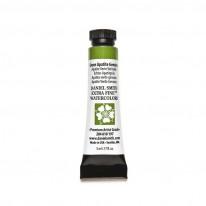 Apatite verte véritable - aquarelle extra-fine Tube 5 ml Daniel Smith