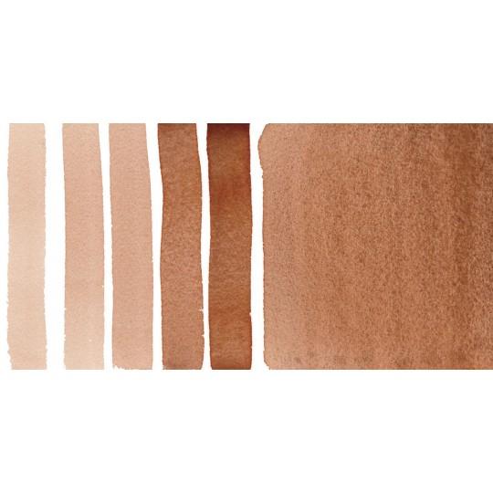 Ocre française grillée - aquarelle extra-fine Tube 15 ml Daniel Smith