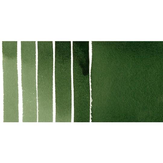 Vert de vessie foncé - aquarelle extra-fine Tube 15 ml Daniel Smith