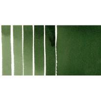 Vert de vessie foncé - aquarelle extra-fine Tube 15 ml Daniel Smith