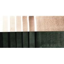 Bronze du désert duochrome - aquarelle extra-fine Tube 15 ml Daniel Smith