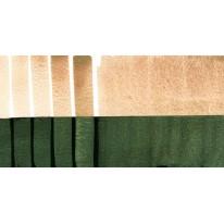 Vert Saguaro duochrome - aquarelle extra-fine Tube 15 ml Daniel Smith