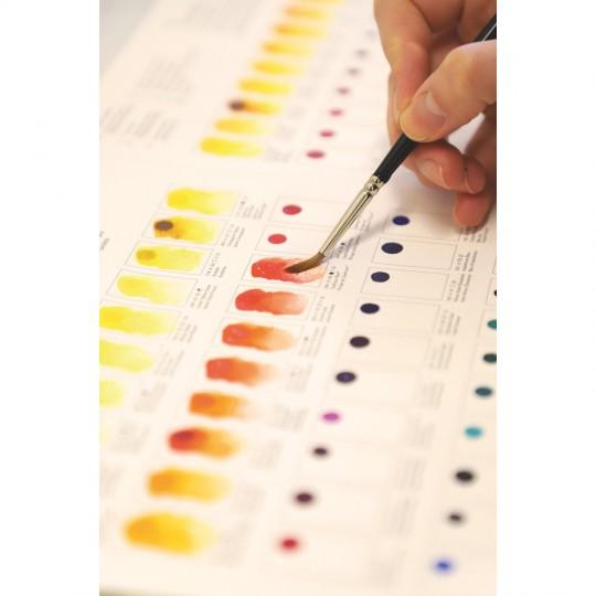 Carte échantillon couleurs réelles 115 couleurs d'aquarelles extra-fines Winsor & Newton