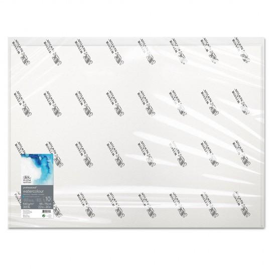 Feuille 100% coton 55.9x76.2 640g 5f grain fin Professional Winsor & Newton