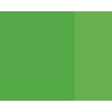 Vert acacia - gouache extra fine Tube 14 ml Lefranc Bourgeois
