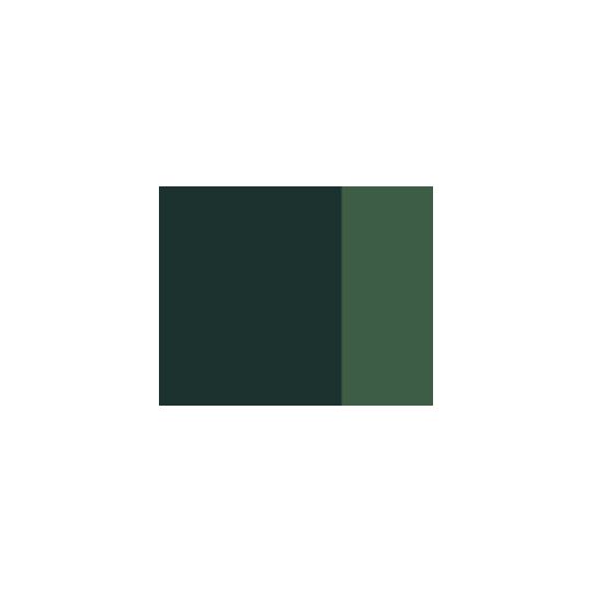 Vert de vessie - gouache extra fine Tube 14 ml Lefranc Bourgeois