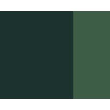 Vert de vessie - gouache extra fine Tube 14 ml Lefranc Bourgeois