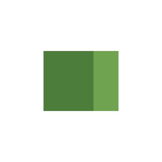 Vert saint michel - gouache extra fine Tube 14 ml Lefranc Bourgeois