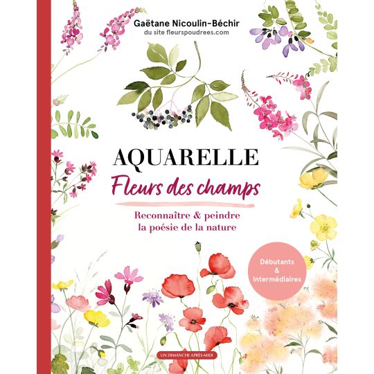 Aquarelle Fleur des Champs, Gaëtane Nicoulin