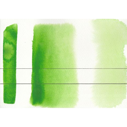Vert clair permanent - Aquarelle Godet Roman Szmal Aquarius