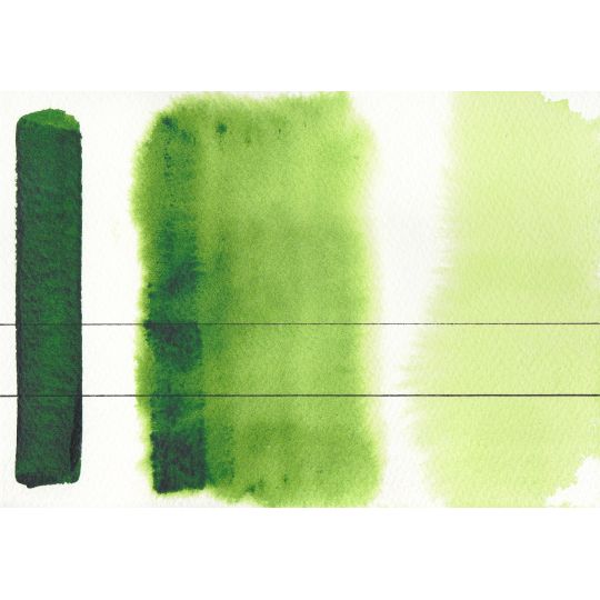 Vert de Vessie - Aquarelle Godet Roman Szmal Aquarius