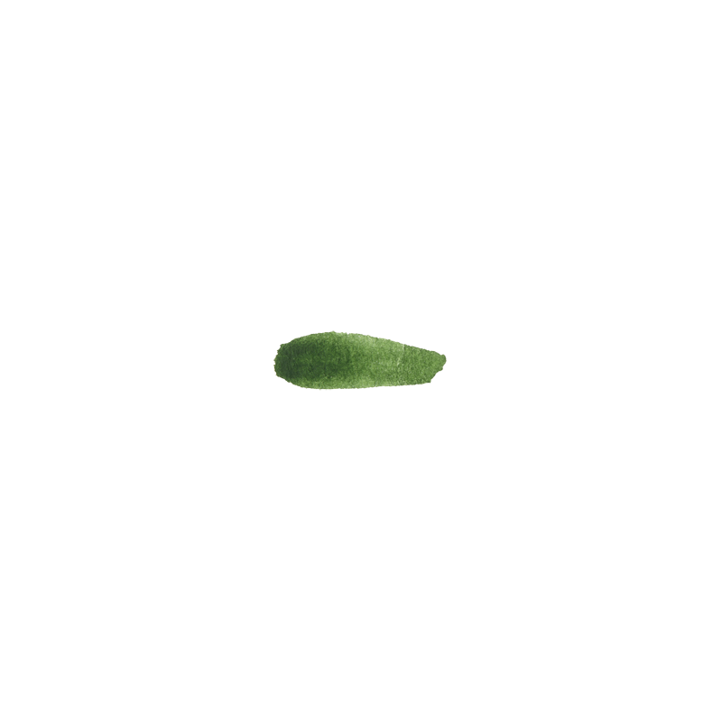 Vert forêt - aquarelle Tube 15ml M. Graham