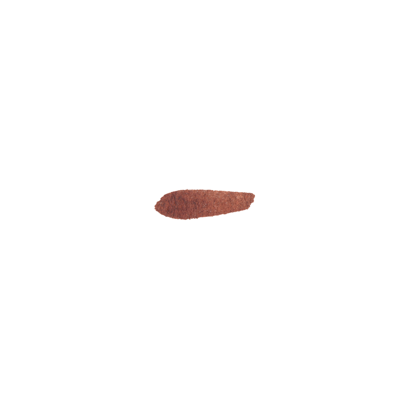 Rouge Oxyde transparent - aquarelle Tube 15ml M. Graham