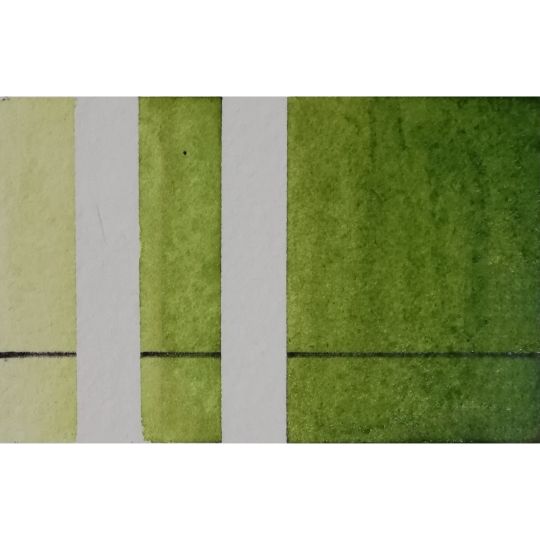 Vert mousse - aquarelle extra-fine artisanale 1/2 Godet  Aquarelle de Provence