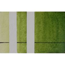Vert mousse - aquarelle extra-fine artisanale 1/2 Godet  Aquarelle de Provence