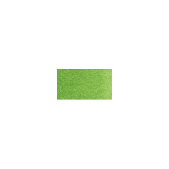 Vert cadmium foncé - Aquarelle Tube 6ml Old Holland