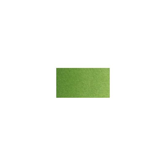 Vert oxyde de chrome - Aquarelle Tube 6ml Old Holland