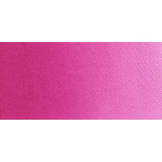 Rose magenta - Aquarelle Godet Rosa Gallery