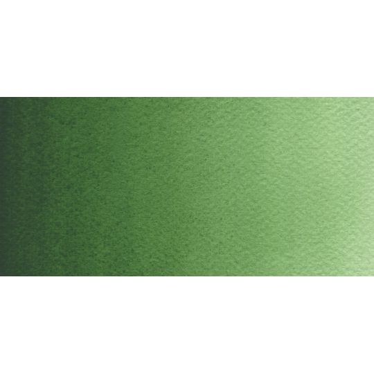 Vert - Aquarelle Godet Rosa Gallery