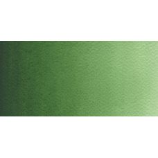 Vert - Aquarelle Godet Rosa Gallery