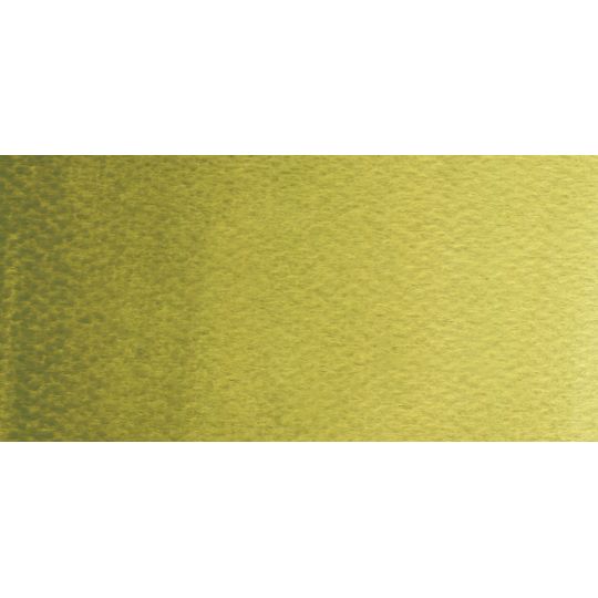 Vert olive - Aquarelle Godet Rosa Gallery