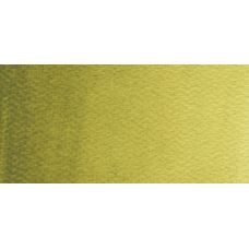 Vert olive - Aquarelle Godet Rosa Gallery
