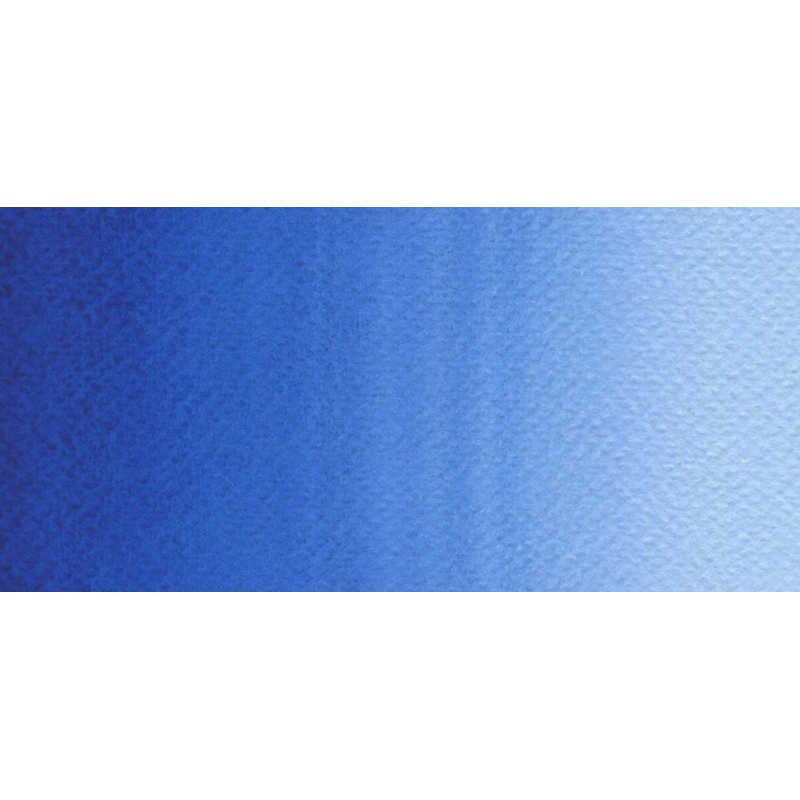 Bleu pâle - Aquarelle Godet Rosa Gallery