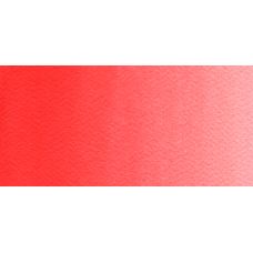 Rouge vif - Aquarelle Godet Rosa Gallery