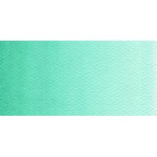 Vert menthe - Aquarelle Godet Rosa Gallery
