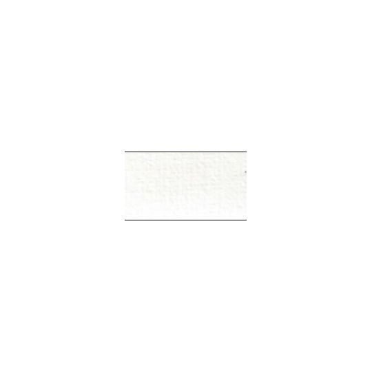Blanc de Zinc - Aquarelle Tube 10ml Rosa Gallery