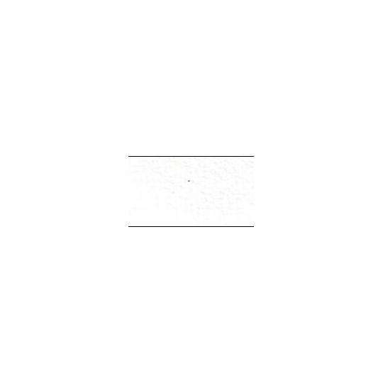 Blanc de titane - Aquarelle Tube 10ml Rosa Gallery