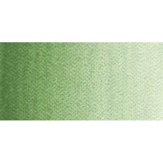 Oxyde de chrome - Aquarelle Tube 10ml Rosa Gallery
