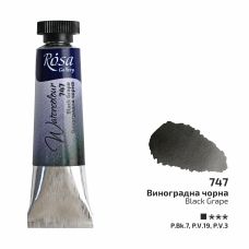 Noir raisin - Aquarelle Tube 10ml Rosa Gallery