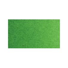 Vert vif - Aquarelle Tube 6ml Old Holland