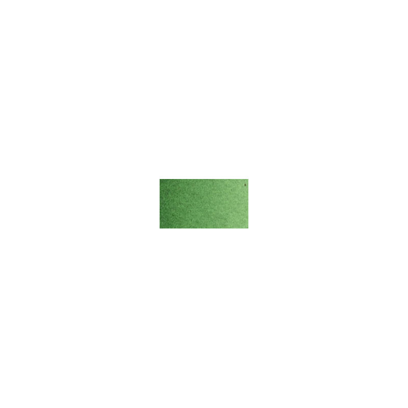 Laque vert de Hooker foncé extra - Aquarelle Tube 6ml Old Holland