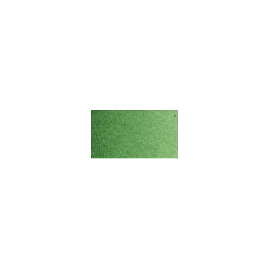 Laque vert de Hooker foncé extra - Aquarelle Tube 6ml Old Holland