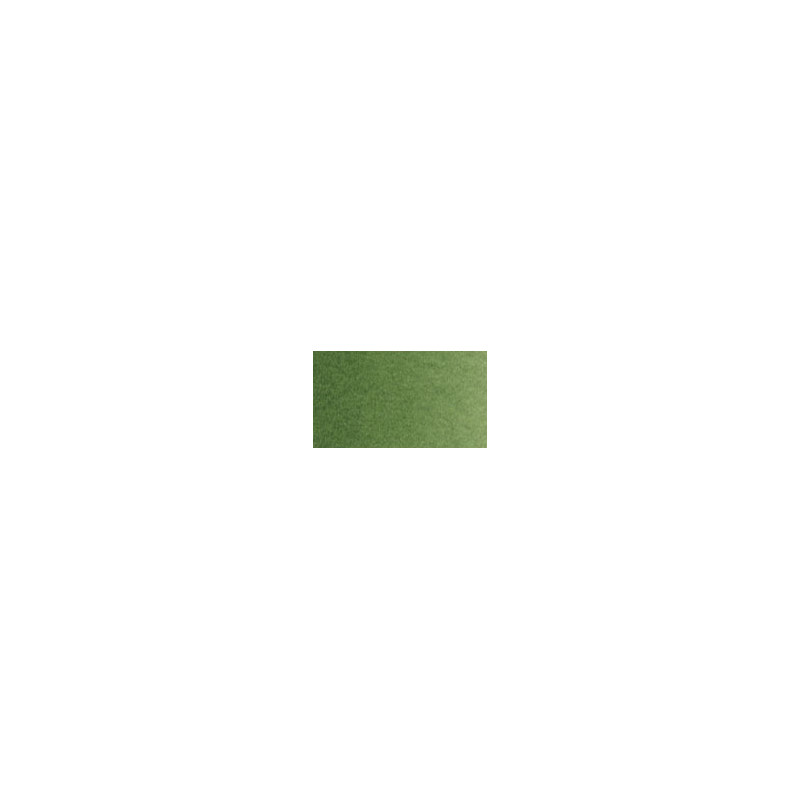 Laque verte de hooker clair extra - Aquarelle Tube 6ml Old Holland