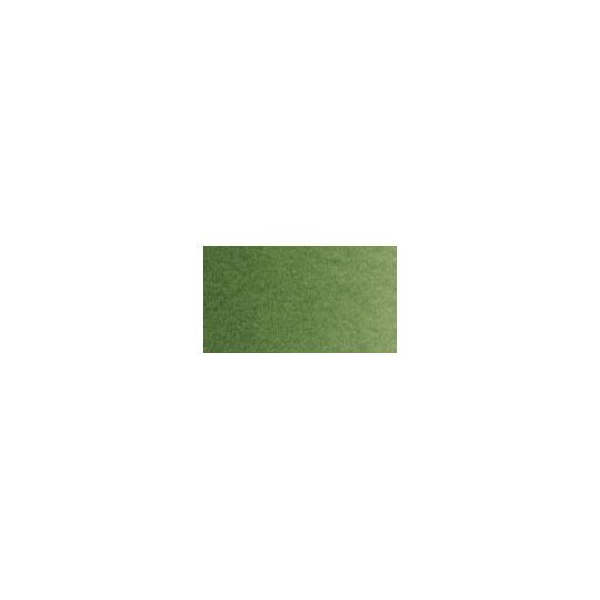 Laque verte de hooker clair extra - Aquarelle Tube 6ml Old Holland