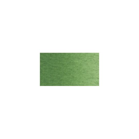 Terre verte - Aquarelle Tube 5ml Holbein Artists'