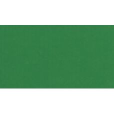 Vert de cadmium - Gouache Tube 15ml Holbein Artists'
