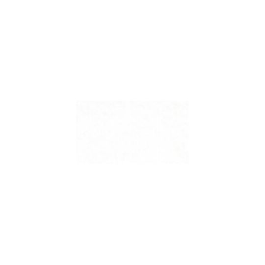 Blanc de Zinc - Gouache Tube 15ml Holbein Artists'