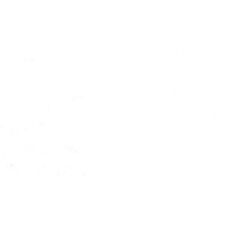 Blanc primaire - Gouache Tube 15ml Holbein Artists'