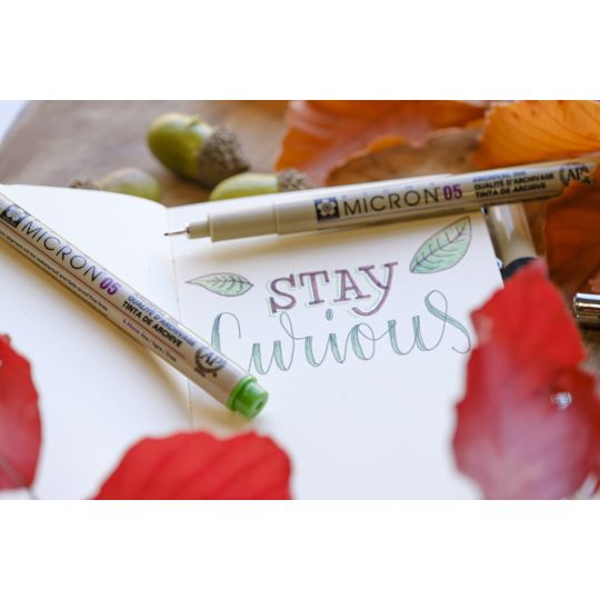 Set de 6 Pigma micron 05 Terre