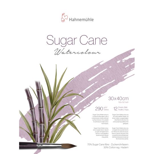 Bloc collé 4 côté Sugar Cane Hahnemühle 30x40cm 290g 12f