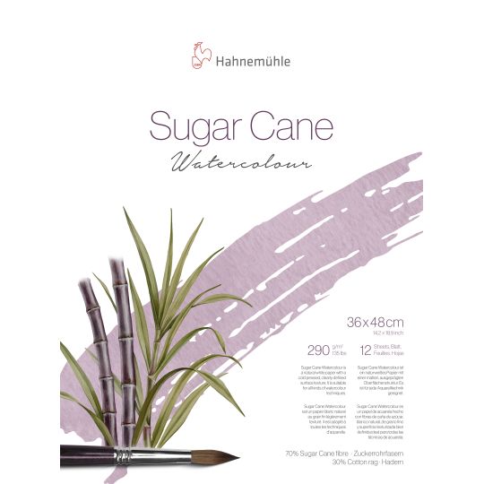 Bloc collé 4 côté Sugar Cane Hahnemühle 36x48cm 290g 12f