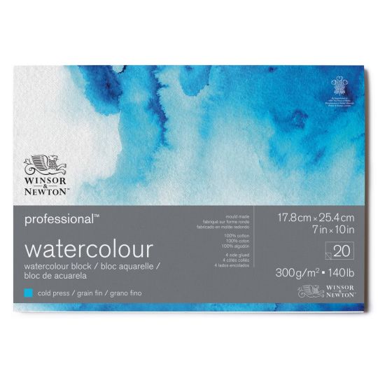 Bloc collé 4 côtés 100% coton 17.8x25.4 300g grain fin 20f Professional Winsor & Newton