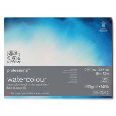 Bloc collé 4 côtés 100% coton 22.9x30,5 300g grain satiné 20f Professional Winsor & Newton