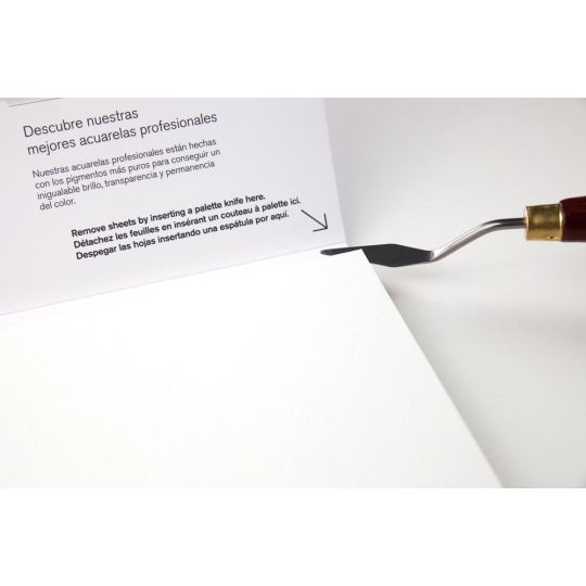 Bloc collé 4 côtés 100% coton 25.4x35.6 300g grain satiné 20f Professional Winsor & Newton
