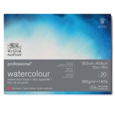 Bloc collé 4 côtés 100% coton 30.5x40.6 300g grain satiné 20f Professional Winsor & Newton
