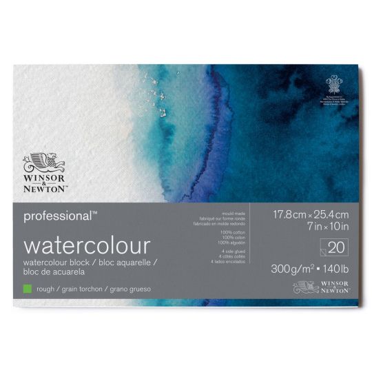 Bloc collé 4 côtés 100% coton 17.8x25.4 300g grain torchon 20f Professional Winsor & Newton